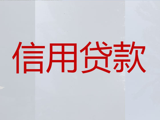 来宾信用贷款